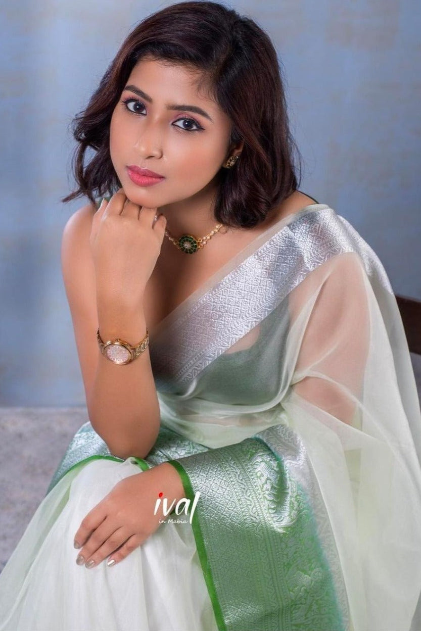 1209-organza fancy border