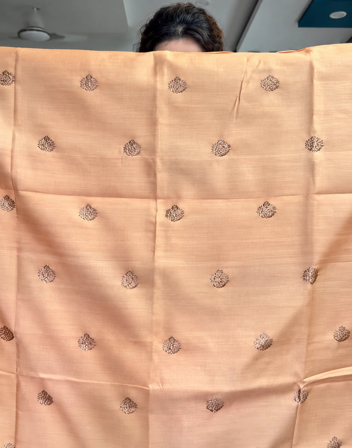 Aabha Banarasi Silk Suit Set