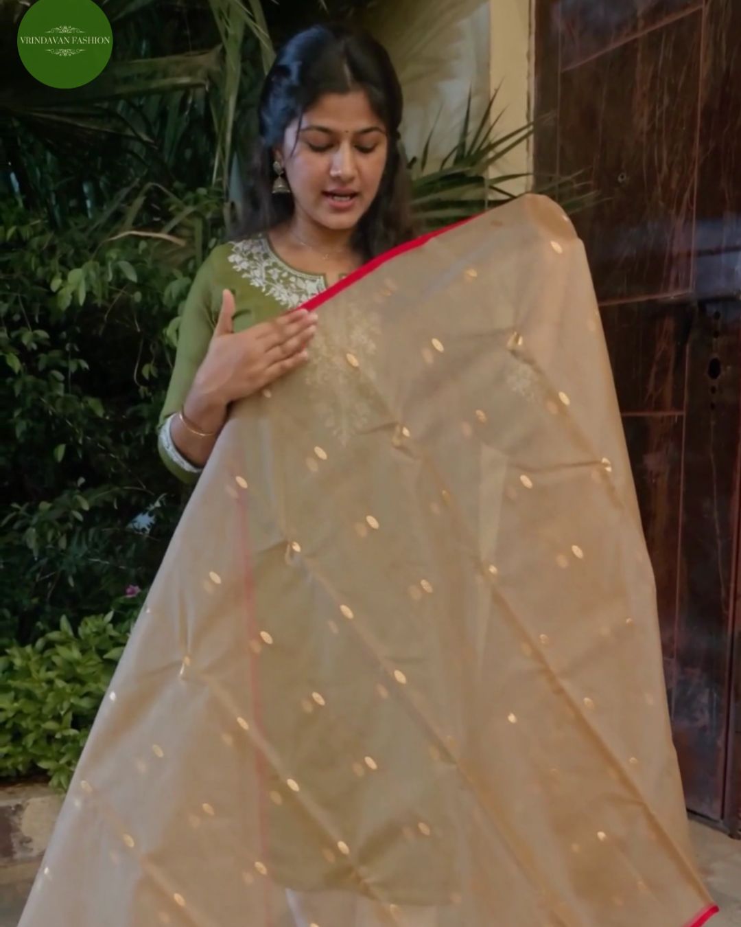 Biscuit Organza Saree
