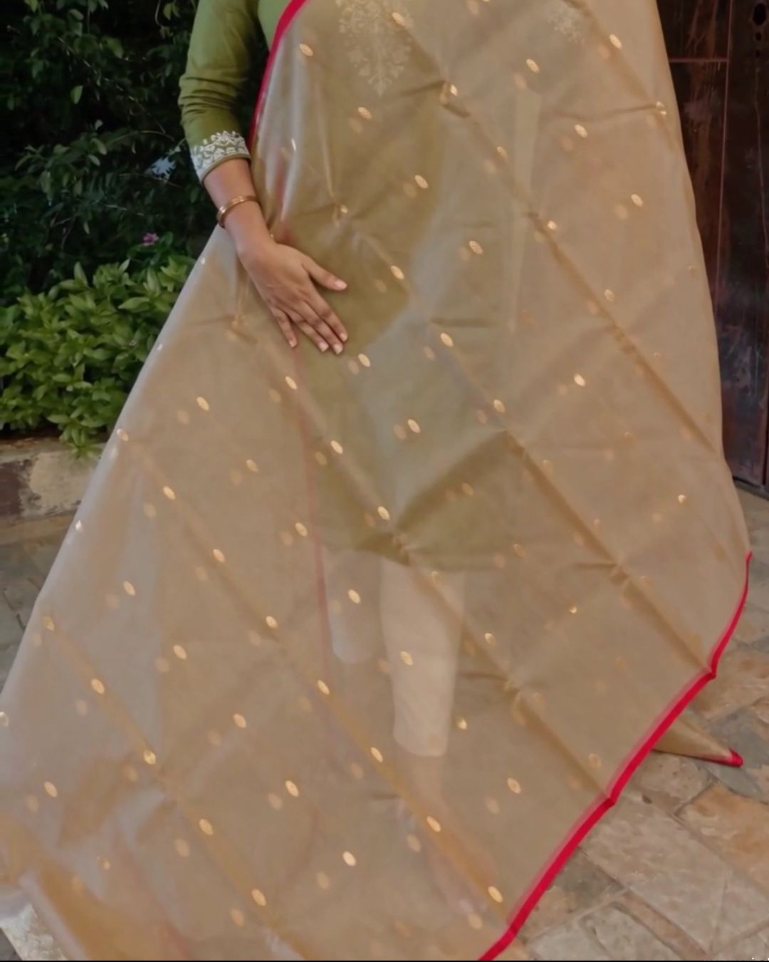 Biscuit Organza Saree